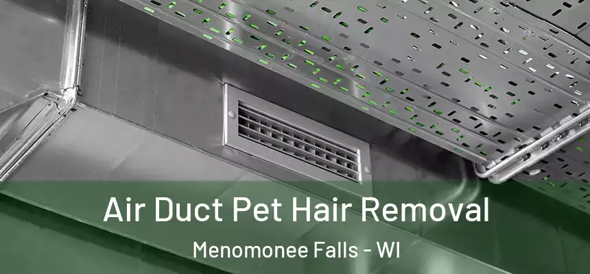 Air Duct Pet Hair Removal Menomonee Falls - WI