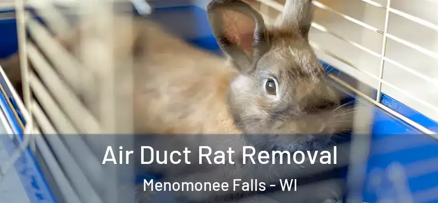  Air Duct Rat Removal Menomonee Falls - WI