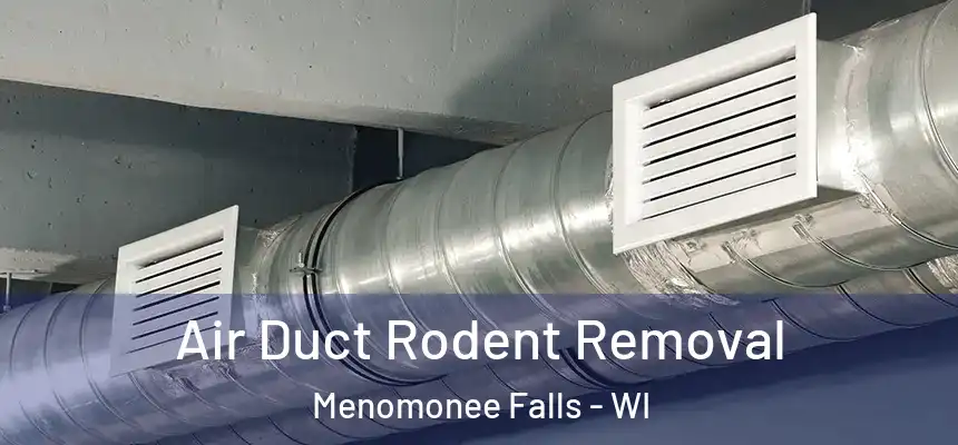  Air Duct Rodent Removal Menomonee Falls - WI