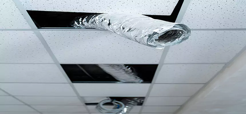 Our Air Duct Pet Hair Removal Services in Menomonee Falls, WI