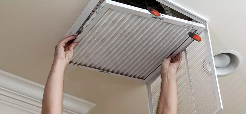 Our Insect Removal from Air Ducts Services in Menomonee Falls, WI
