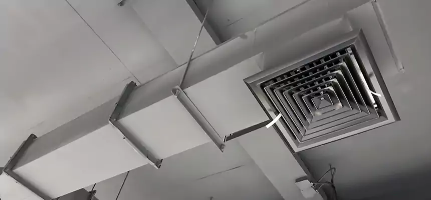 Our Rodent Droppings In Vents Services in Menomonee Falls, WI