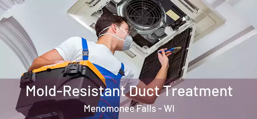  Mold-Resistant Duct Treatment Menomonee Falls - WI