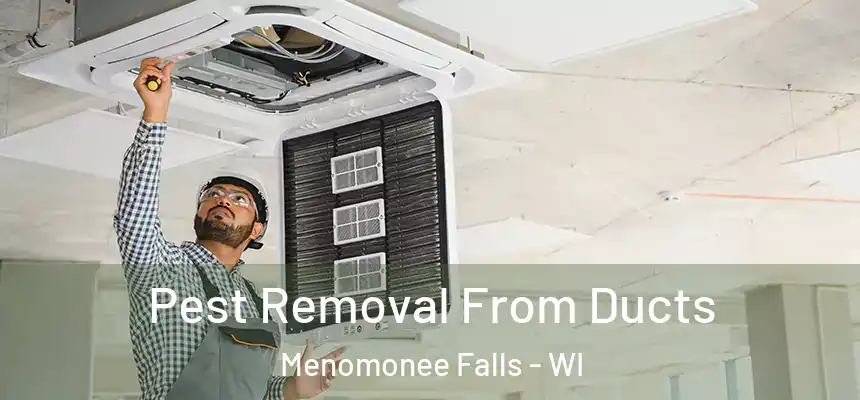  Pest Removal From Ducts Menomonee Falls - WI