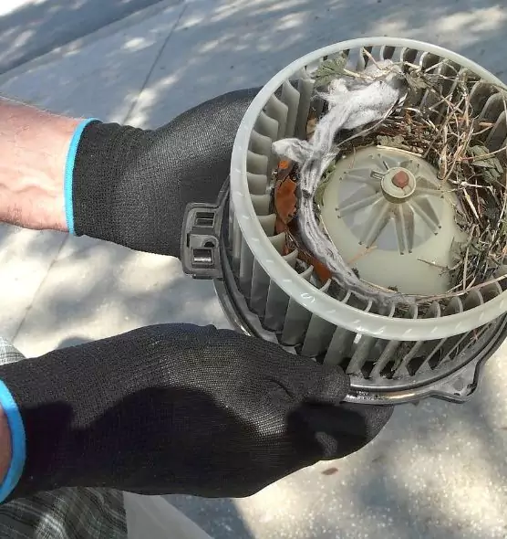 About Air Duct Mice Removal in Menomonee Falls, WI