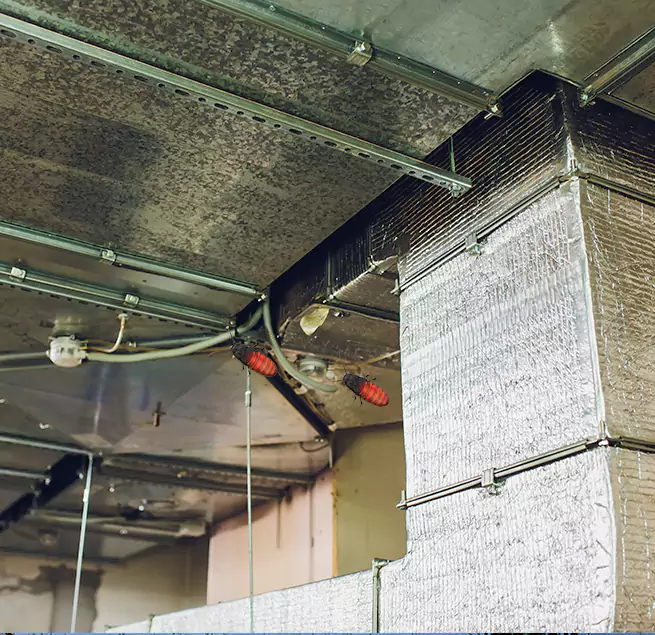 Why Homeowners & Businesses Trust Us in Menomonee Falls, WI?