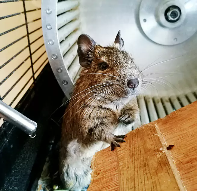 Why Homeowners & Businesses Trust Us Menomonee Falls, WI